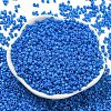 Baking Paint Glass Seed Beads SEED-S042-05A-37-2