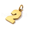 304 Stainless Steel Charms STAS-A106-01G-02-2