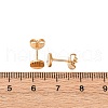304 Stainless Steel Stud Earring Findings STAS-H436-21G-04-3