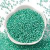 Glass Cylinder Beads SEED-L011-11B-17-2