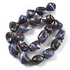 Dyed Natural Trochus Shell Beads Strands BSHE-Z006-02B-2