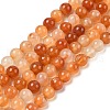 Natural Red Agate Beads Strands G-A248-A06-02-2