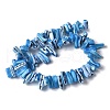 Dyed Natural Trochus Shell Beads Strands SSHEL-C013-09F-2