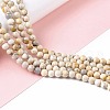 Natural HuBei Turquoise Beads Strands G-K317-A08-03-2