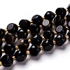 Natural Golden Sheen Obsidian Beads Strands G-M367-01B-1
