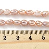 Natural Cultured Freshwater Pearl Beads Strands PEAR-P062-24C-5