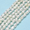 Natural Cultured Freshwater Pearl Beads Strands PEAR-J006-02A-2