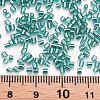 Glass Bugle Beads SEED-S032-08A-51A-4