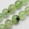 Natural Prehnite Beads Strands G-G457-10mm-03-1