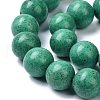 Natural Howlite Beads Strands G-C180-16B-3