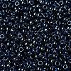 MIYUKI Round Rocailles Beads X-SEED-G008-RR0358-3