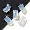 K9 Glass GLAA-R001-05B-2