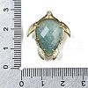 Natural Amazonite Pendants G-U019-02G-04-3