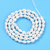 Natural Cultured Freshwater Pearl Beads Strands PEAR-N012-03P-01-3