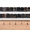 Natural Biotite Beads Strands G-T140-39A-5