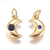 Brass Micro Pave Cubic Zirconia Charms ZIRC-G168-56G-03-2