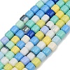 Handmade Lampwork Beads Strands LAMP-S070-06D-1