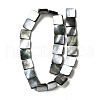 Natural Black Lip Shell Beads Strands BSHE-D300-07-15mm-2