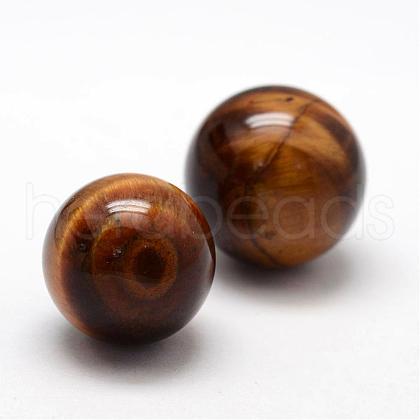 Grade A Natural Tiger Eye Round Beads G-L451-02-10mm-1
