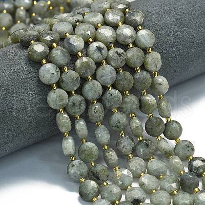 Natural Labradorite Beads Strands G-C116-A98-01-1