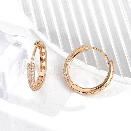 Brass Micro Pave Clear Cubic Zirconia Hoop Earrings EJEW-K300-11G-1