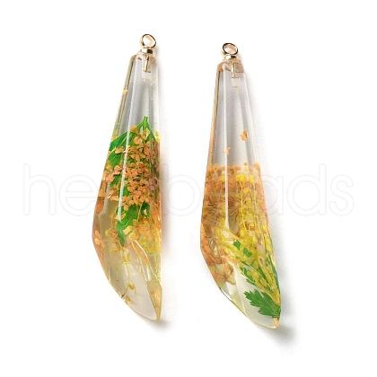 Inner Dried Flower Transparent Resin Pendants RESI-A043-08C-1