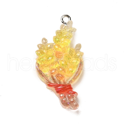 Resin Pendants RESI-Q012-02A-1