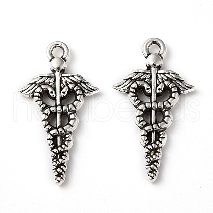 Tibetan Style Alloy Pendants TIBEP-WH0002-11AS-1