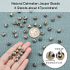 ARRICRAFT Natural Dalmatian Jasper Beads Strands G-AR0002-23-2