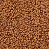 MIYUKI Delica Beads X-SEED-J020-DB2287-3
