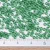 MIYUKI Round Rocailles Beads X-SEED-G007-RR0173-4