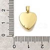 Brass Pendants KK-V007-011G-03-3