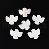 Natural Freshwater Shell Carved Beads SHEL-N036-12-1