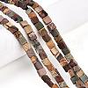 Natural Picasso Jasper/Polychrome Jasper Beads Strands G-N346-05A-03-1