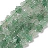 Natural Green Strawberry Quartz Beads Strands G-B138-C05-01-2