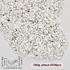 SOFPLATE 500G Howlite Chip Beads G-SP0001-04-2
