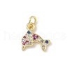 Brass Micro Pave Cubic Zirconia Charms ZIRC-I356-13G-02-1