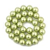 Polished Shell Pearl Round Beads Strands BSHE-XCP0001-13-2