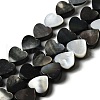 Natural Black Lip Shell Beads Strands BSHE-D300-06B-1