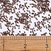 MIYUKI Delica Beads SEED-X0054-DB0461-4
