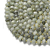 Natural Labradorite Beads Strands G-P573-A55-01-3