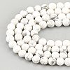 Olycraft 4 Strands Natural Howlite Beads Strands TURQ-OC0001-02B-4