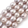 Natural Cultured Freshwater Pearl Beads Strands PEAR-P062-10B-2