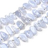 Natural Blue Lace Agate Spike Slice Beads Strands G-NH0046-B01-01-2