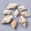 Natural Spiral Shell Beads SSHEL-S258-75-2