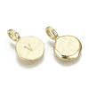 Alloy Pendants PALLOY-N157-004V-NR-2