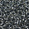 MIYUKI Delica Beads SEED-X0054-DB0048-3
