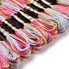 10 Skeins 6-Ply Polyester Embroidery Floss OCOR-K006-A75-2