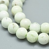 Natural Australian Turquoise(Jasper) Beads Strands G-D0010-06A-6mm-3