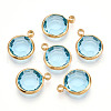 K9 Glass Charms X1-GLAA-T023-37A-05-1